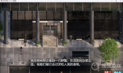 《创世秩序》野猫位置方法