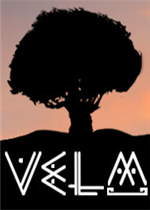 VeLM