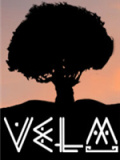 VeLM