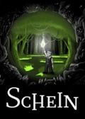 Schein