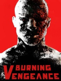 浴火复仇