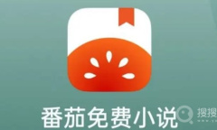 《番茄小说》屏蔽广告教程