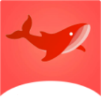 飞鱼影视纯净版