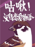 咕啾！文鸟恋爱物语