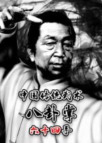 中国传统武术 八卦掌 六十四手