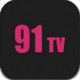 91tv播放器