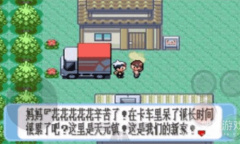 《口袋妖怪红宝石》金手指代码大全