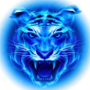 四虎影音(最新域名)