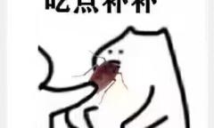 拿着拿着蟑螂表情包一览