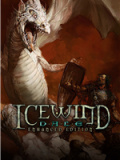 冰风谷：增强版