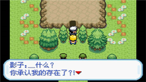 口袋妖怪秩序的崩坏汉化版(金手指)