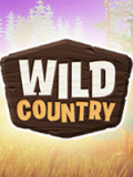 Wild Country