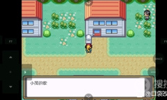 《口袋妖怪燃之智》全流程图文方法