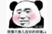 我像只鱼儿在你的鱼塘梗是什么意思