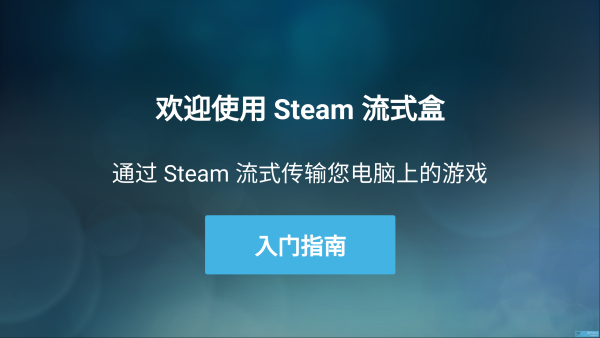 steam link