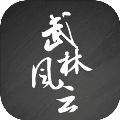 武林风云录