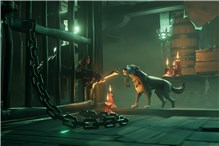 盗贼之星任务流程分享