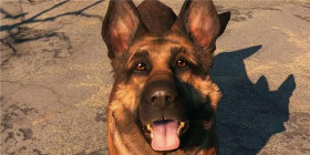 狗狗游戏app合集