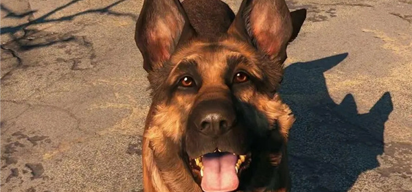 狗狗游戏app合集