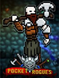 口袋盗贼