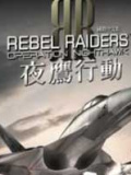 叛乱袭击者：夜鹰行动
