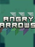 愤怒的弓箭