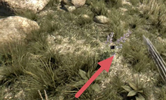 《消逝的光芒2》薰衣草在什么位置