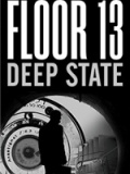 第13层：深层政府