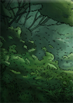 卡牌生存：奇幻森林