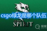 《csgo》绿龙是哪个队伍