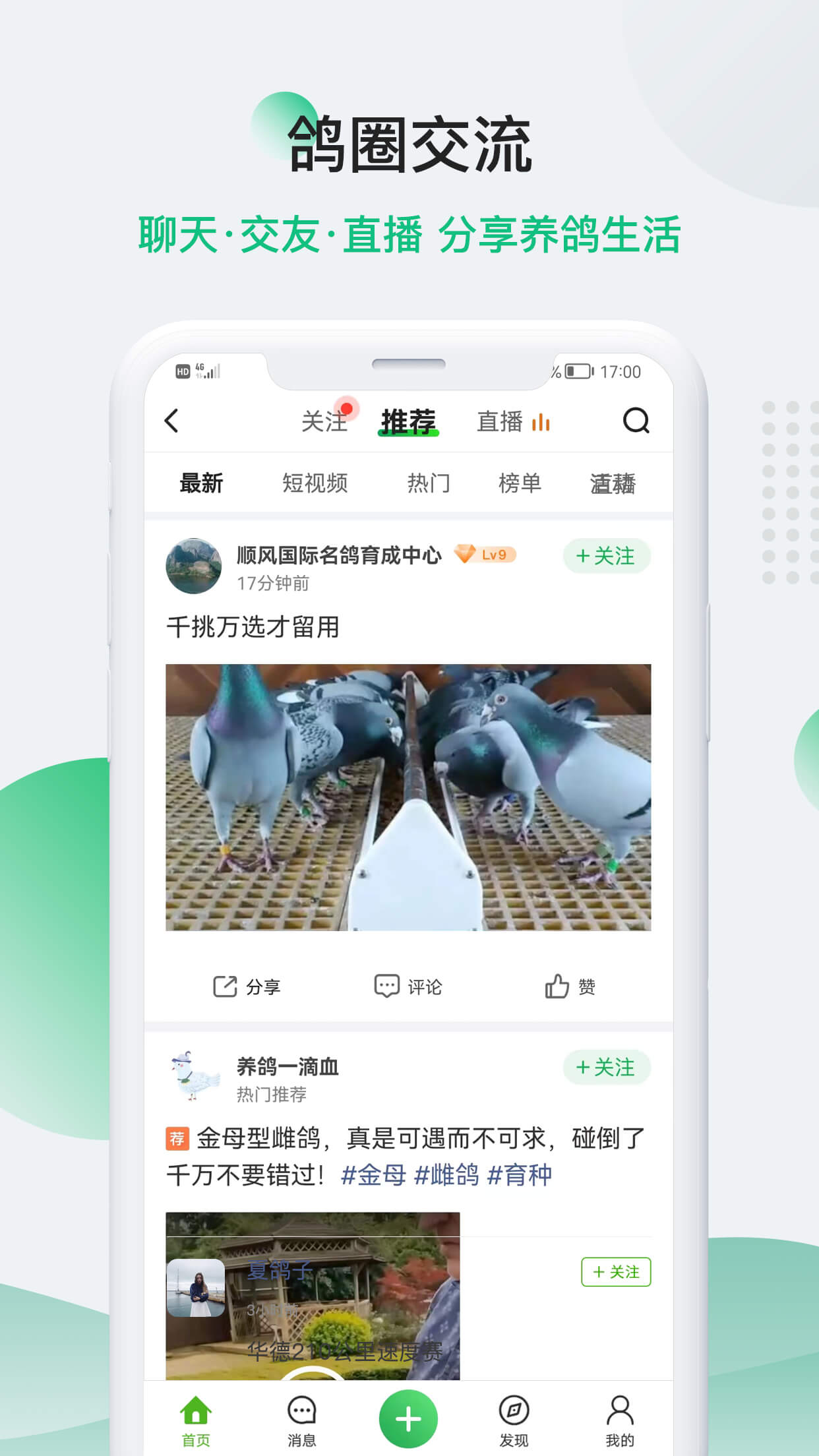 中国信鸽信息网2024版