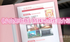 《小白兔电商》特殊地点作用介绍