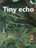 微小的回声