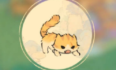 《桃源深处有人家》百分百神秘猫介绍