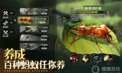 《小小蚁国》亚服连接网络失败是什么原因