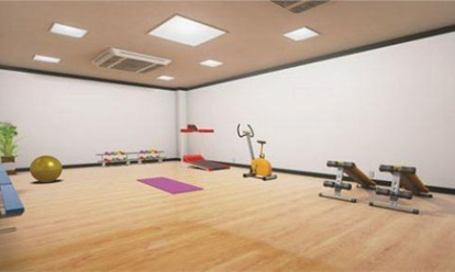 幸福管家巴比伦汉化版