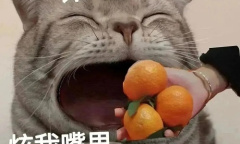 网络语“炫”是什么含义