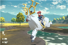 头目地区精灵进化攻略