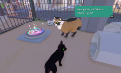 《小猫咪大城市》怎么抓鸟？蓝色羽毛有什么用？