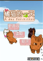 橘猫的一天