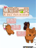 橘猫的一天