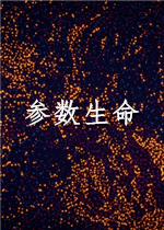 参数生命：实验室