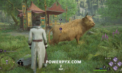 《霍格沃兹之遗》奶牛位置介绍