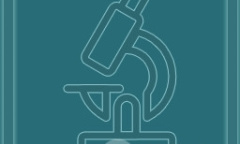 《真探》全案件解密流程方法