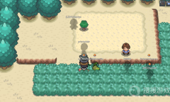 《Pokemmo》成都球果分布位置大全