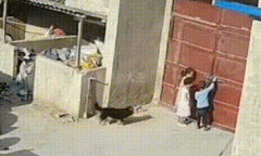 小亮给他整个活是什么意思