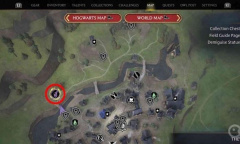 《霍格沃兹之遗》流液草种子获得教程