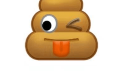 依托答辩是什么意思