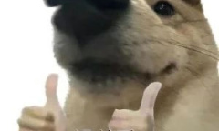 oioioi梗是什么意思