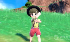 《宝可梦：朱紫》单打万受无疆队配置一览